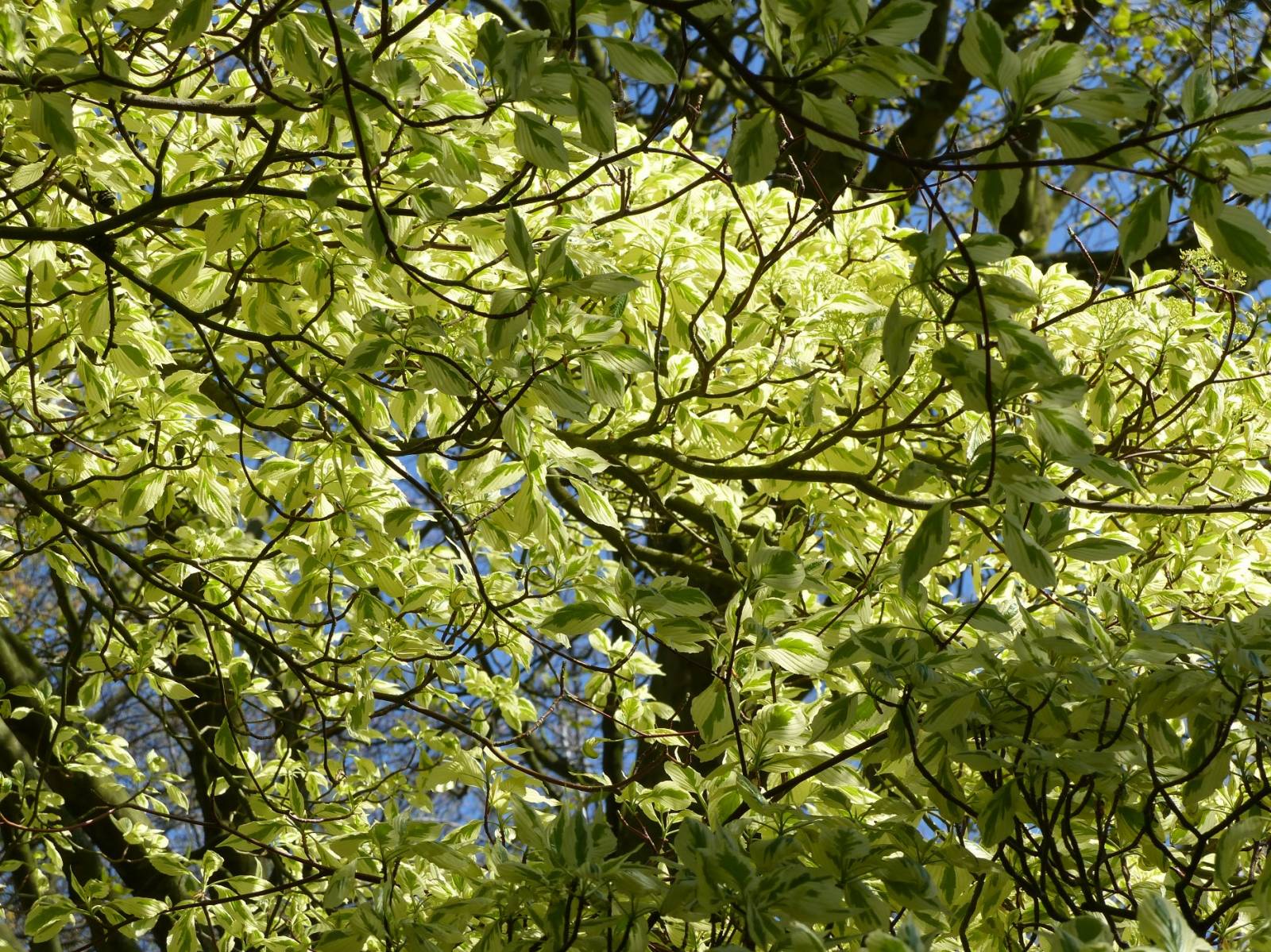 QUE RECHERCHEZ-VOUS ?