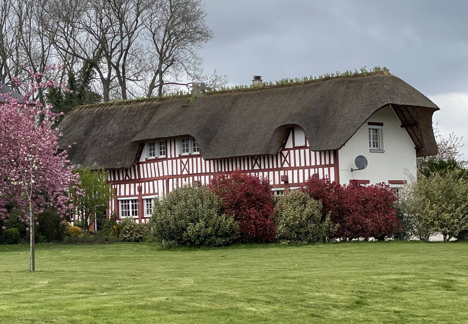 BELLE CHAUMIERE DANS ENVIRONNEMENT RESIDENTIEL AVEC UN HECTARE DE TERRAIN ET GRAND BATIMENT