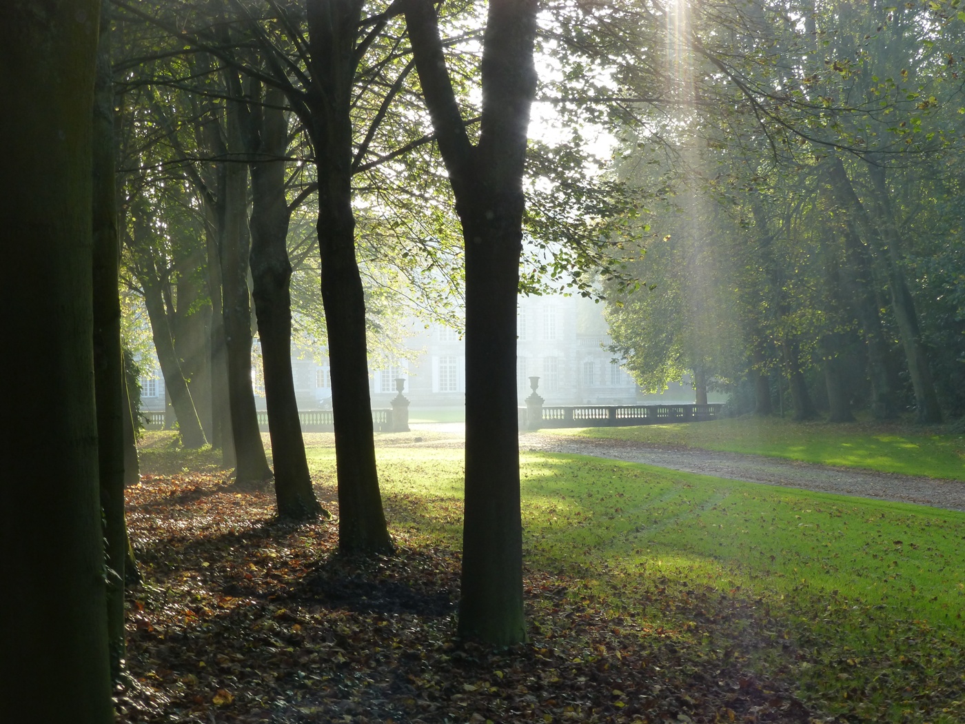 PAYSAGES DE CAMPAGNE NORMANDE
