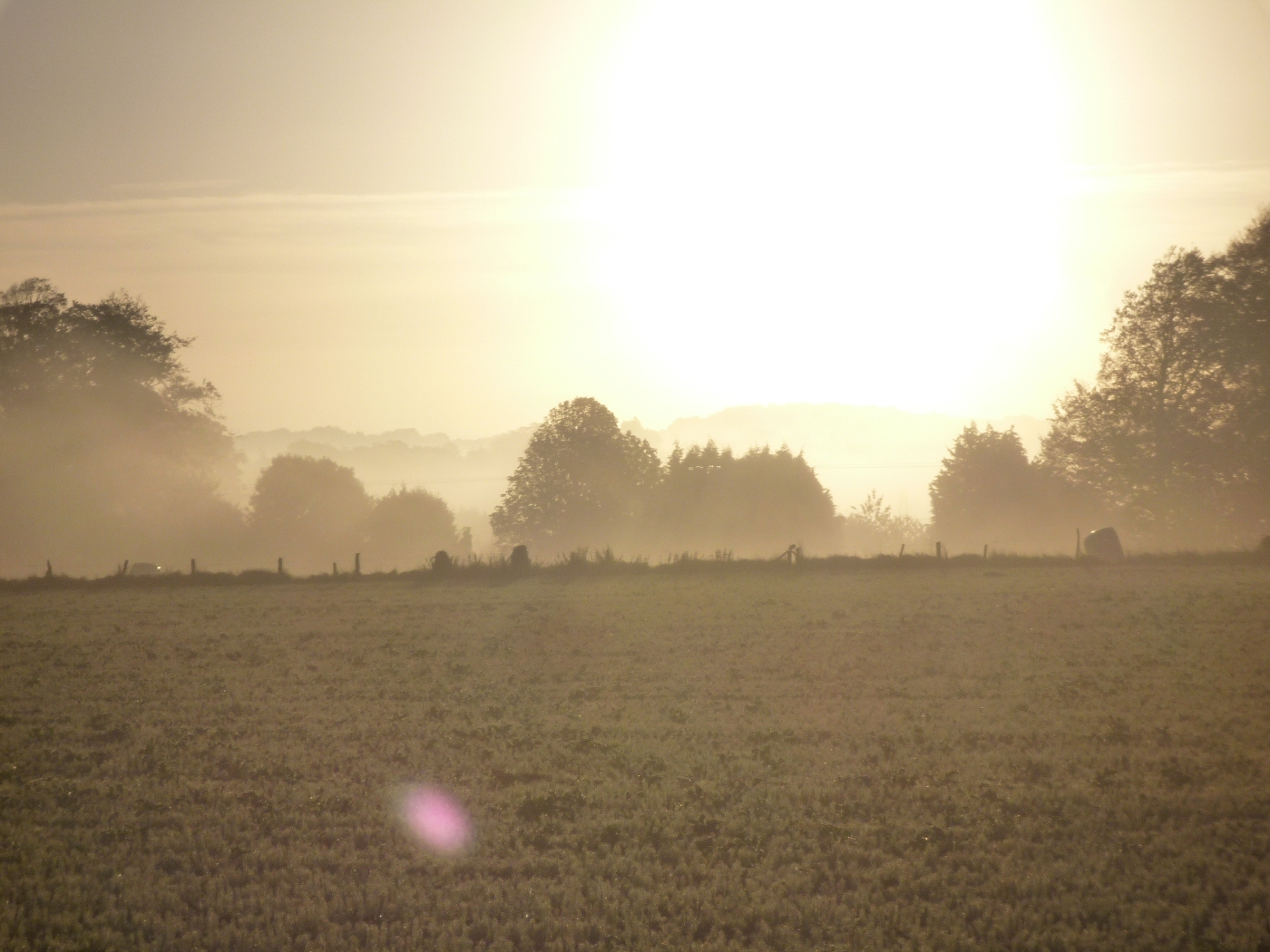 PAYSAGES DE CAMPAGNE NORMANDE