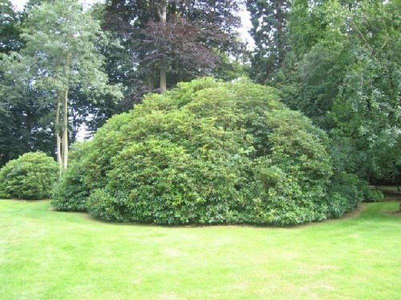 Maison de maître 8 PIÈCES Proche Cany Barville Proche mer environnement d'exception