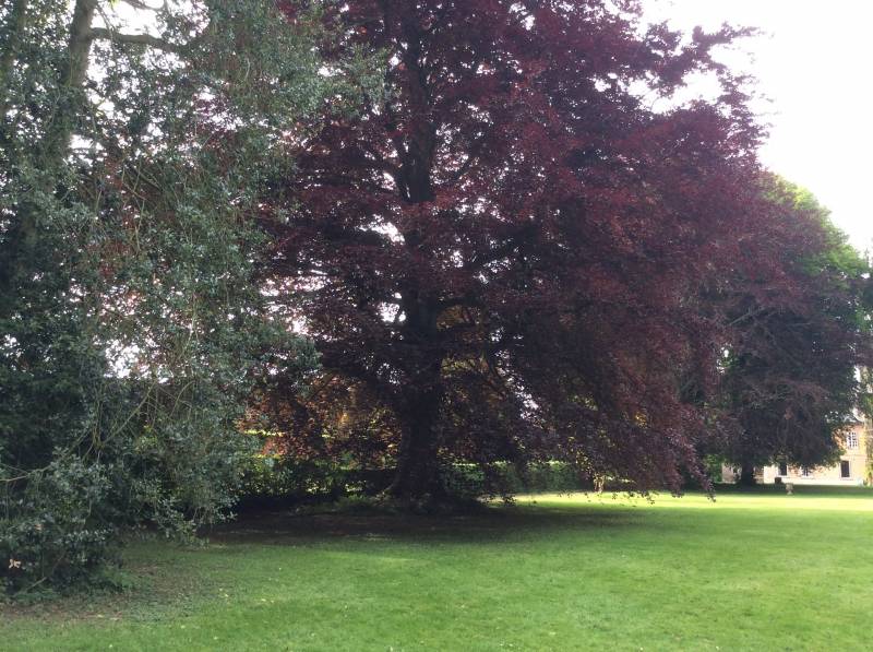 EXCLUSIVITE ELEGANT CHATEAU D'ARTISTE A MOINS D'UNE DEMIE HEURE DES PLAGES