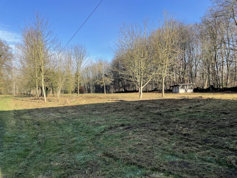 EXCLUSIVITE MAISON NORMANDE EN BRIQUES ET SILEX A RENOVER SUR GRAND TERRAIN