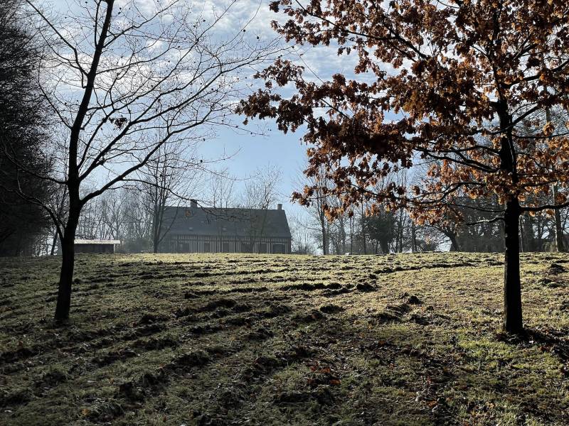 EXCLUSIVITE MAISON NORMANDE EN BRIQUES ET SILEX A RENOVER SUR GRAND TERRAIN