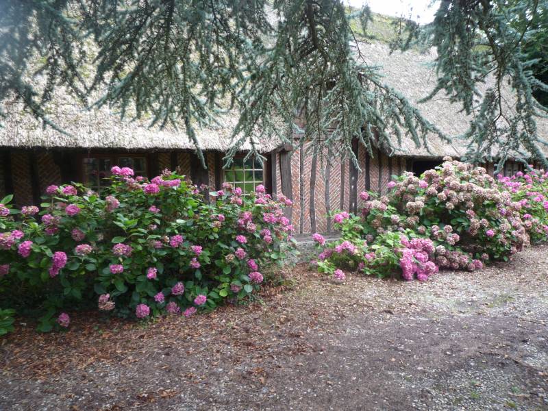 EXCLUSIVITE RAVISSANT ENSEMBLE NORMAND A 2 PAS DE LA PLAGE DES PETITES DALLES