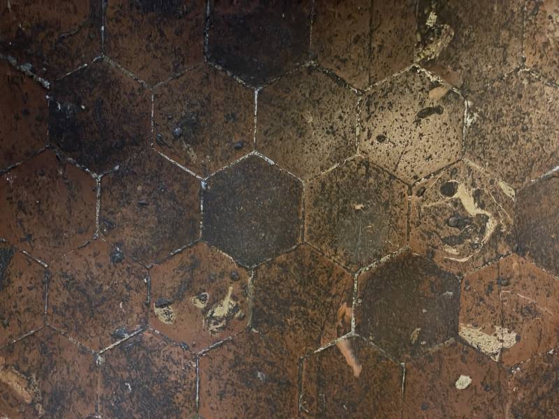 JOYAU DU 17ème SIECLE CAUCHOIS DANS SON PARC DE 3,6 HECTARES