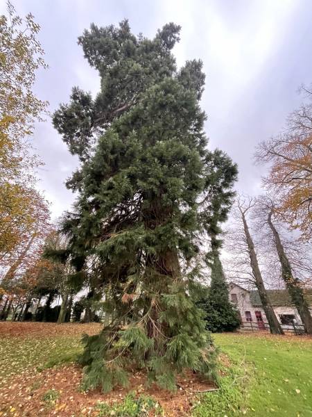 JOYAU DU 17ème SIECLE CAUCHOIS DANS SON PARC DE 3,6 HECTARES