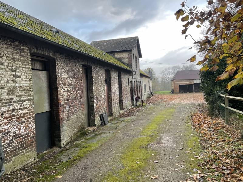 JOYAU DU 17ème SIECLE CAUCHOIS DANS SON PARC DE 3,6 HECTARES