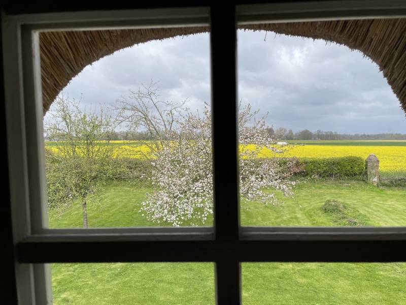 BELLE CHAUMIERE DANS ENVIRONNEMENT RESIDENTIEL AVEC UN HECTARE DE TERRAIN ET GRAND BATIMENT