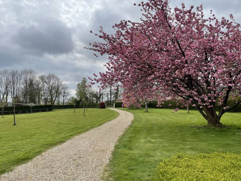 BELLE CHAUMIERE DANS ENVIRONNEMENT RESIDENTIEL AVEC UN HECTARE DE TERRAIN ET GRAND BATIMENT
