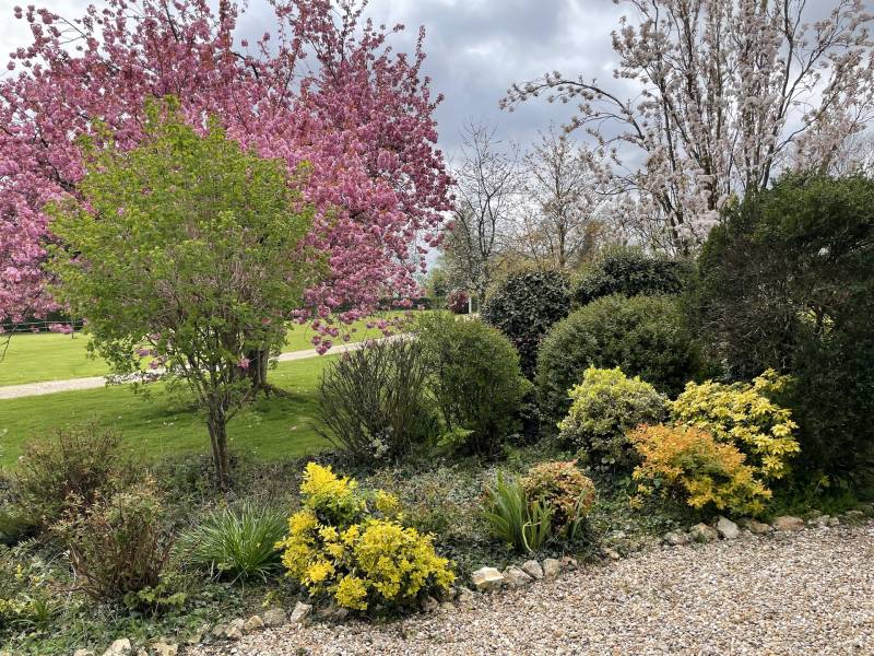 BELLE CHAUMIERE DANS ENVIRONNEMENT RESIDENTIEL AVEC UN HECTARE DE TERRAIN ET GRAND BATIMENT