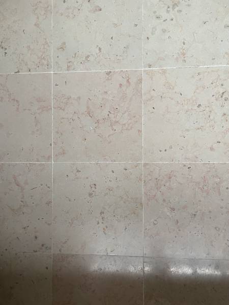 BELLE CHAUMIERE DANS ENVIRONNEMENT RESIDENTIEL AVEC UN HECTARE DE TERRAIN ET GRAND BATIMENT