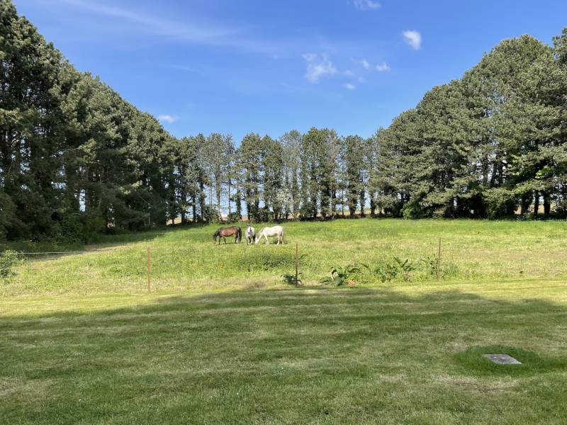 EXCLUSIVITE ELEGANT MANOIR A TOURELLES ENTRE SAINT VALERY EN CAUX ET VEULETTES SUR MER