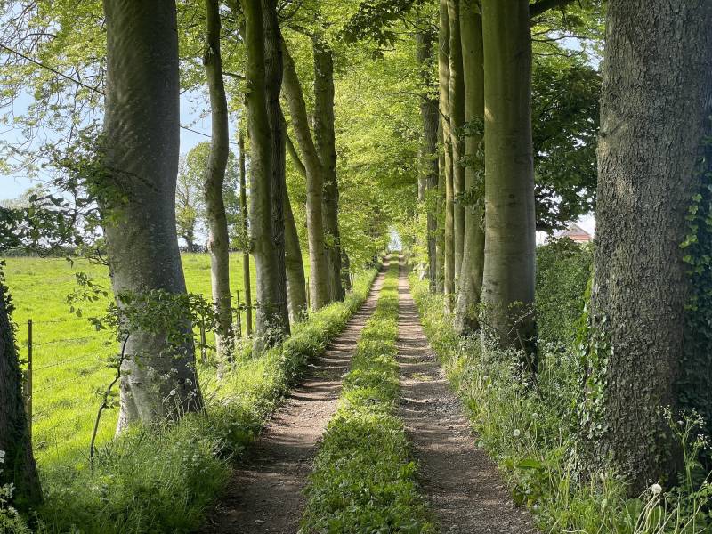 EXCLUSIVITE ELEGANT MANOIR A TOURELLES ENTRE SAINT VALERY EN CAUX ET VEULETTES SUR MER