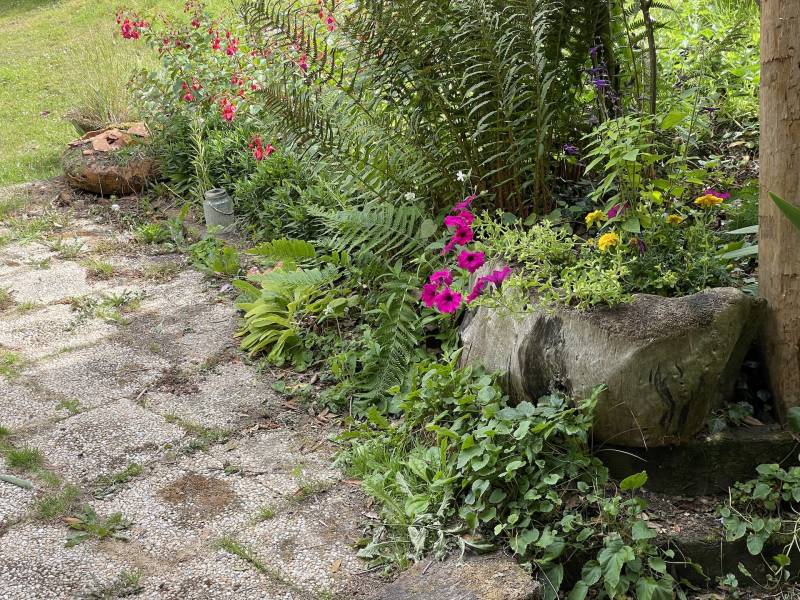 BELLE MAISON NORMANDE AUX PORTES D'YVETOT AVEC SON MANEGE REMARQUABLE