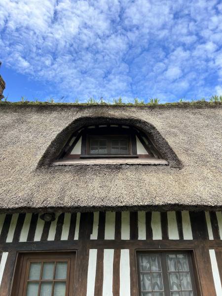 EXCLUSIVITE BELLE CHAUMIERE EN COLOMBAGES 5 PIÈCES ENTRE YVETOT ET LES PLAGES NORMANDES