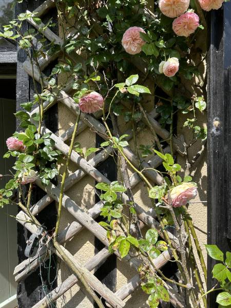EXCLUSIVITÉ MAISON NORMANDE DE CHARME 10 MINUTES DE LA MER MAGNIFIQUE JARDIN PAYSAGER