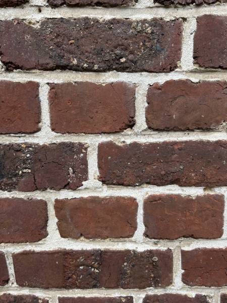 BELLE MAISON DE MAÎTRE A 25 MINUTES DES PLAGES DE LA CÔTE D’ALBÂTRE