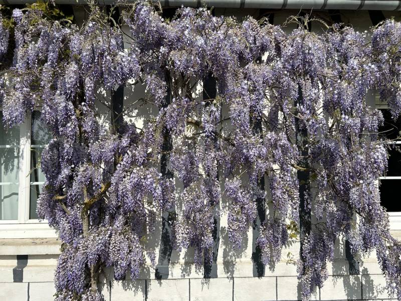 LONGÈRE 7 PIÈCES RÉNOVÉE AVEC GOÛT ENTRE VILLAGE ET CAMPAGNE