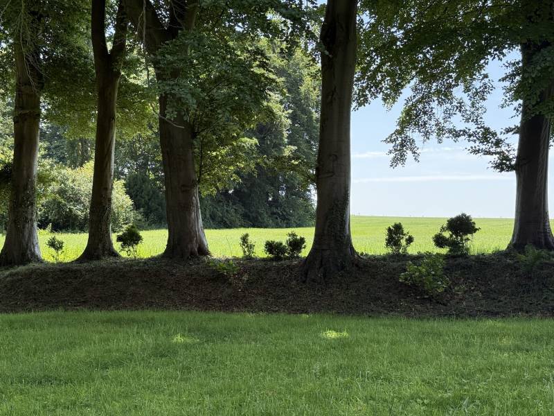 PAYSAGES DE CAMPAGNE NORMANDE