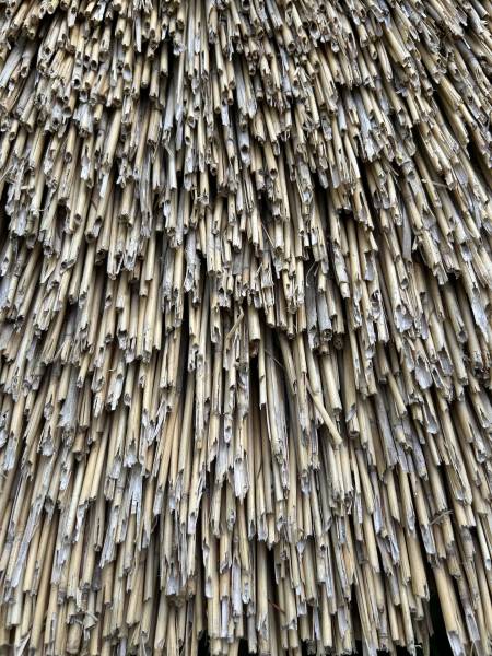 ADORABLE CHAUMIÈRE AU CALME ABSOLU DANS UN ENVIRONNEMENT BOISÉ ET VALLONNÉ