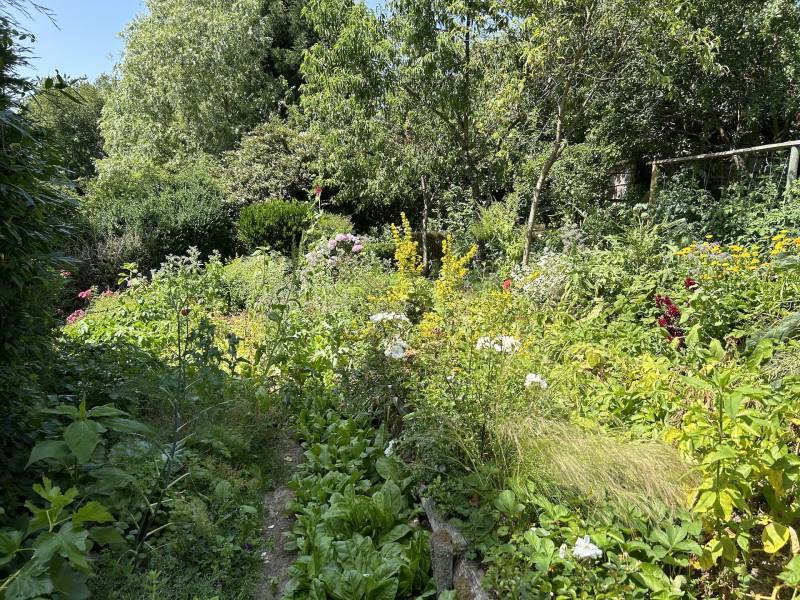 ADORABLE CHAUMIÈRE AU CALME ABSOLU DANS UN ENVIRONNEMENT BOISÉ ET VALLONNÉ