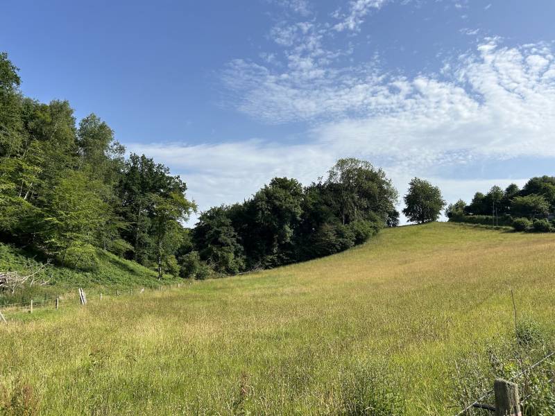ADORABLE CHAUMIÈRE AU CALME ABSOLU DANS UN ENVIRONNEMENT BOISÉ ET VALLONNÉ