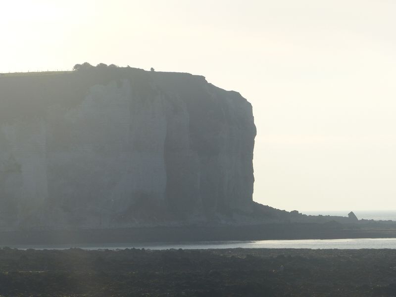 OMBRES CAUCHOISES AUX PETITES DALLES