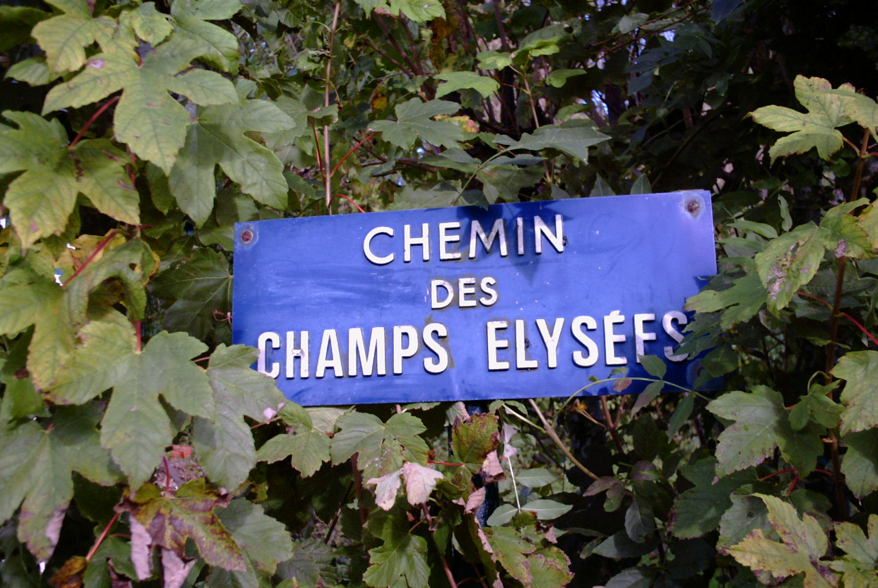 GRANDS BOULEVARDS...