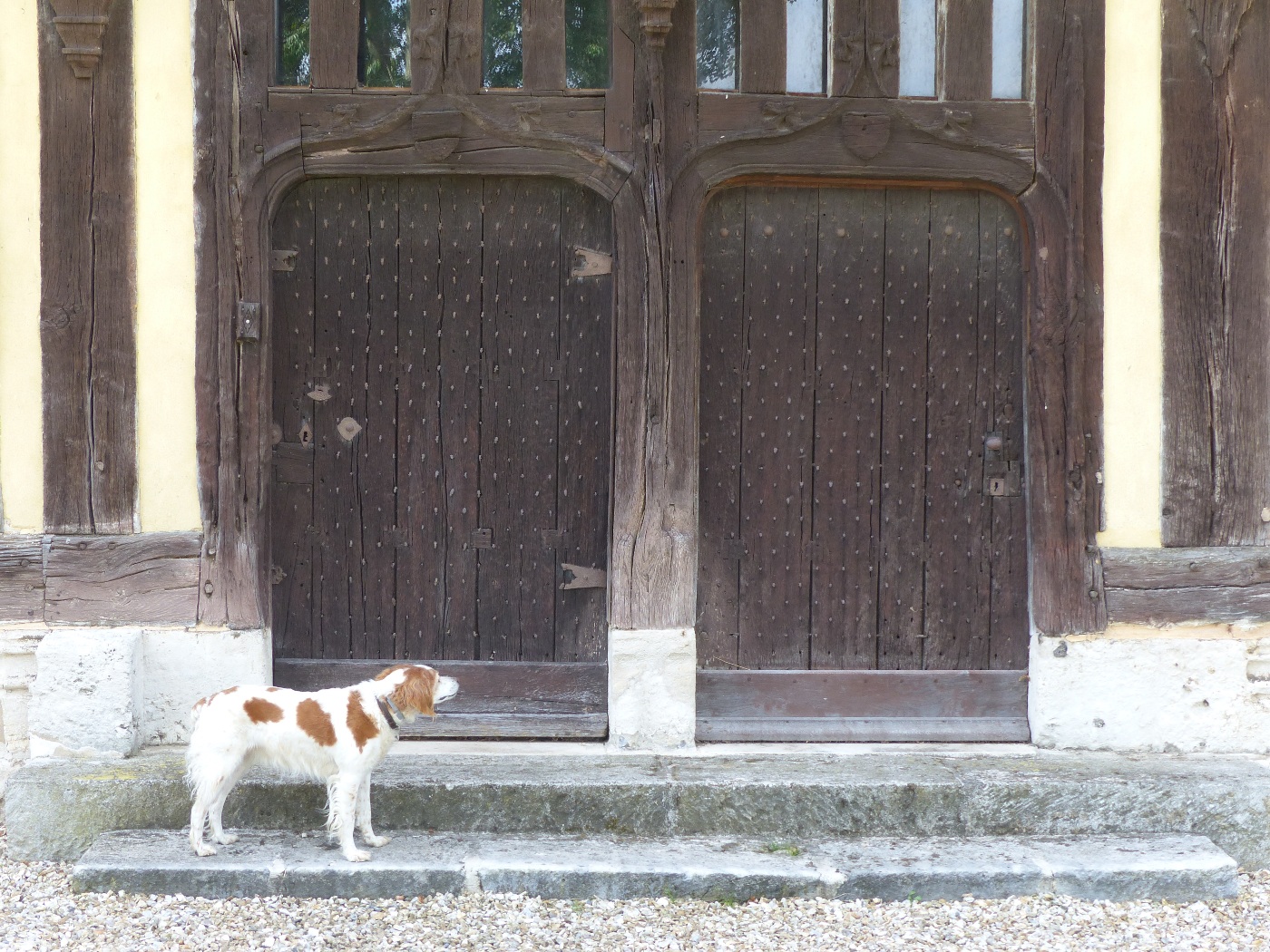 Double porte en bois de manoir à vendre en Seine Maritime