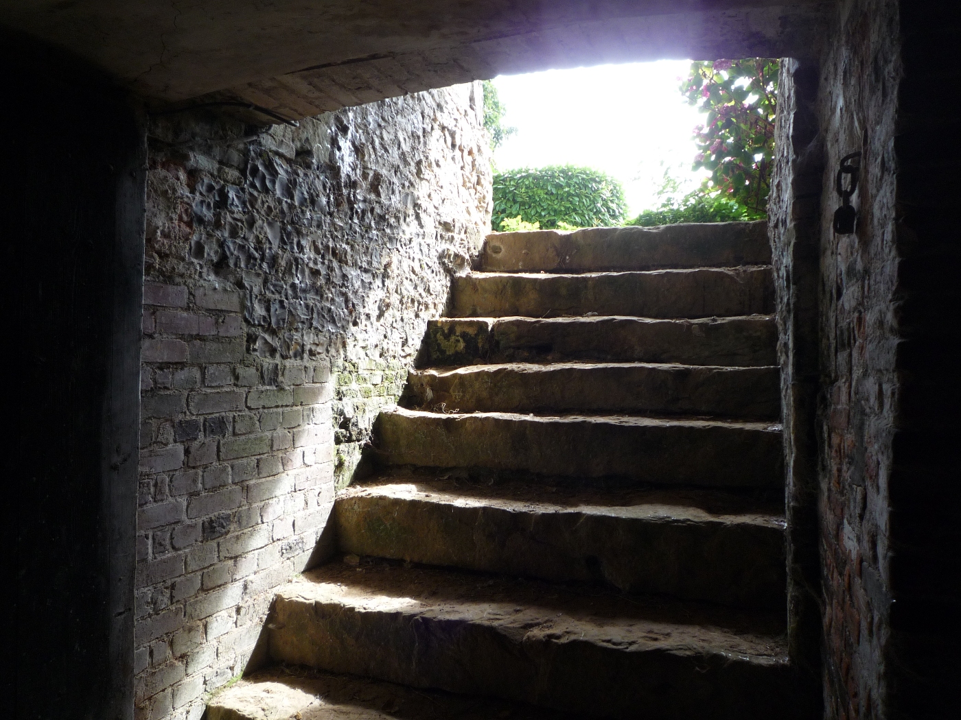 Escalier droit d'une cave dans une maison de maitre à vendre en Seine Maritime
