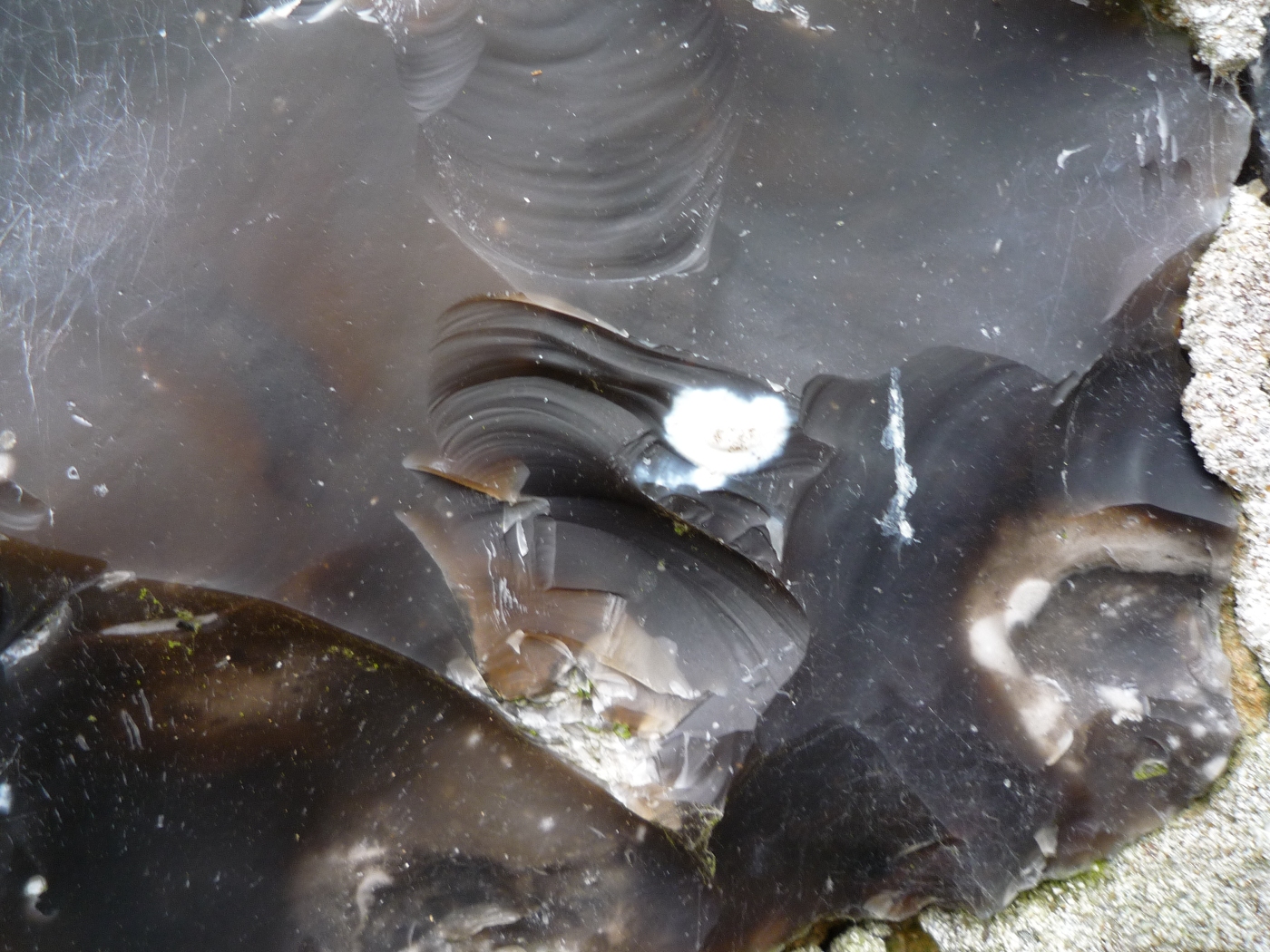 Silex noir d'une maison à vendre en Haute Normandie