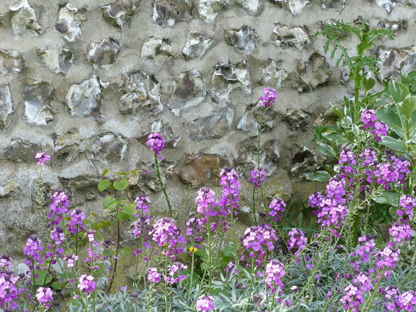 Mur de silex d'une maison à vendre proche de la plage des Petites Dalles