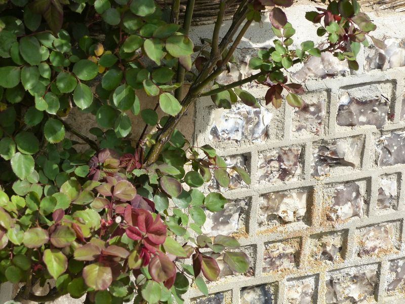 Silex jointés à l'anglaise d'une villa à vendre sur la cote d'Albatre