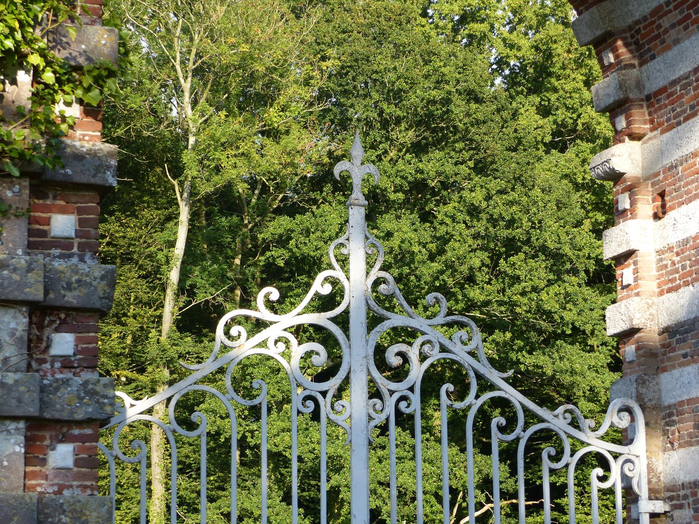 Portail en fer forgé d'un chateau à vendre dans la région de Cany Barville