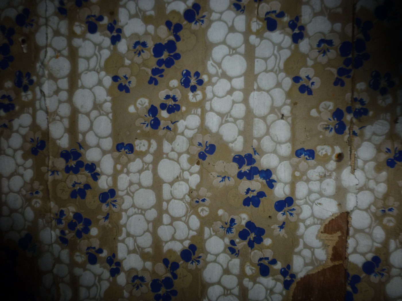 Papier peint ancien dans un manoir à vendre proche de Doudeville