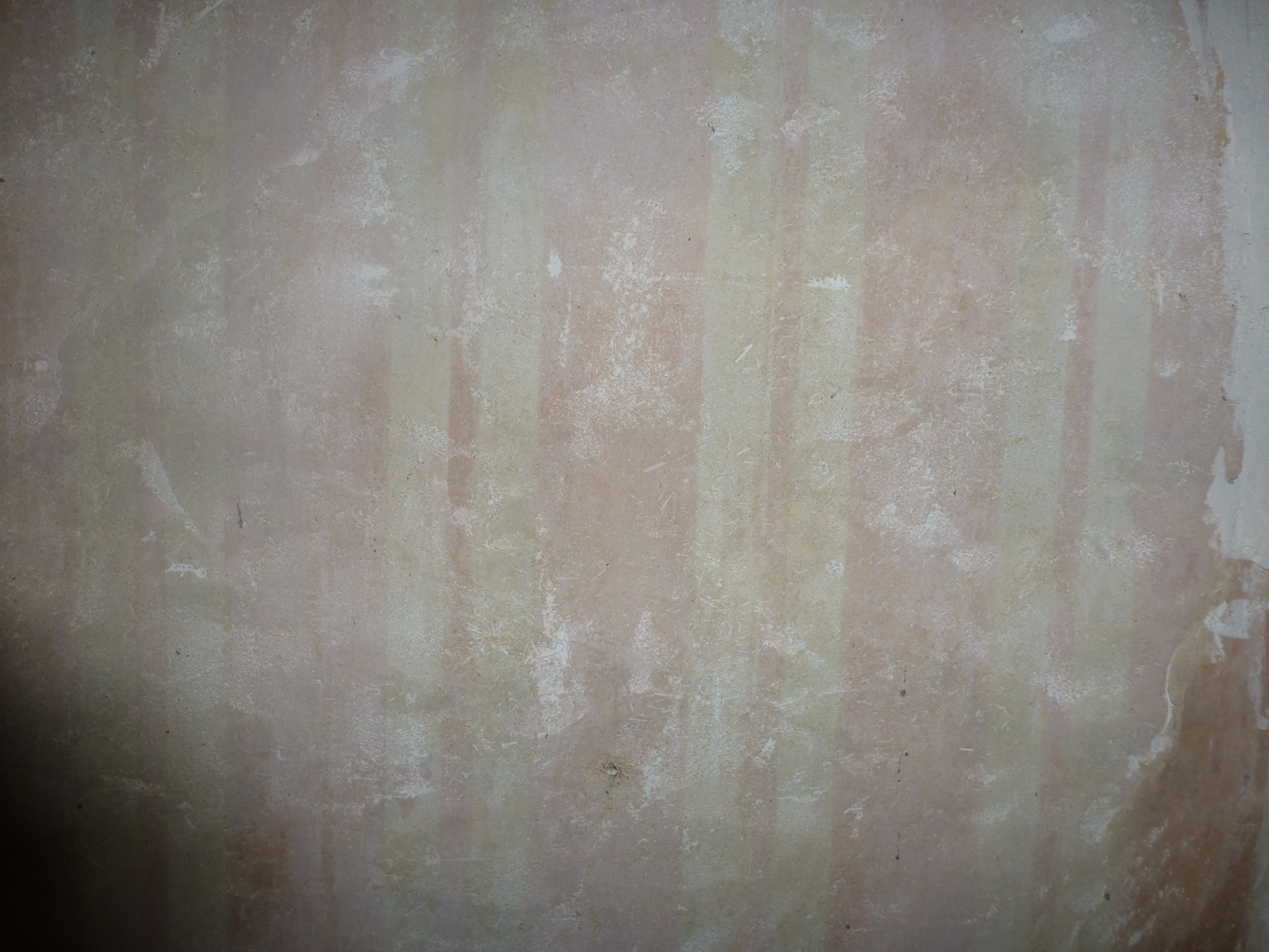 Papier peint dans une maison à vendre proche de Cany Barville