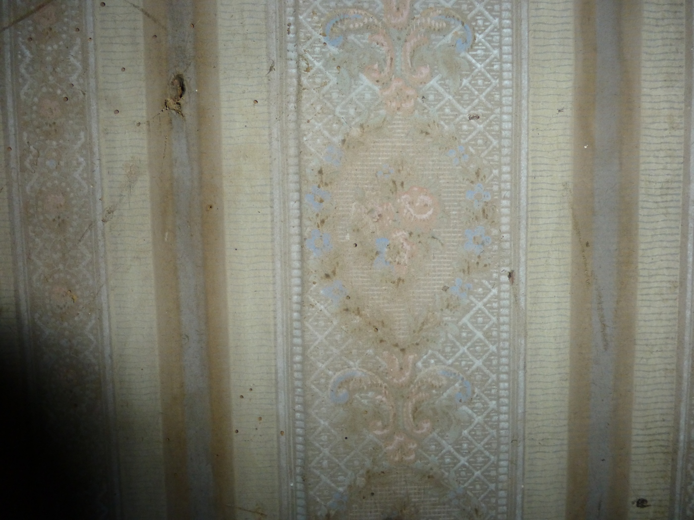 Papier peint décrépit dans une maison à vendre dans le 76