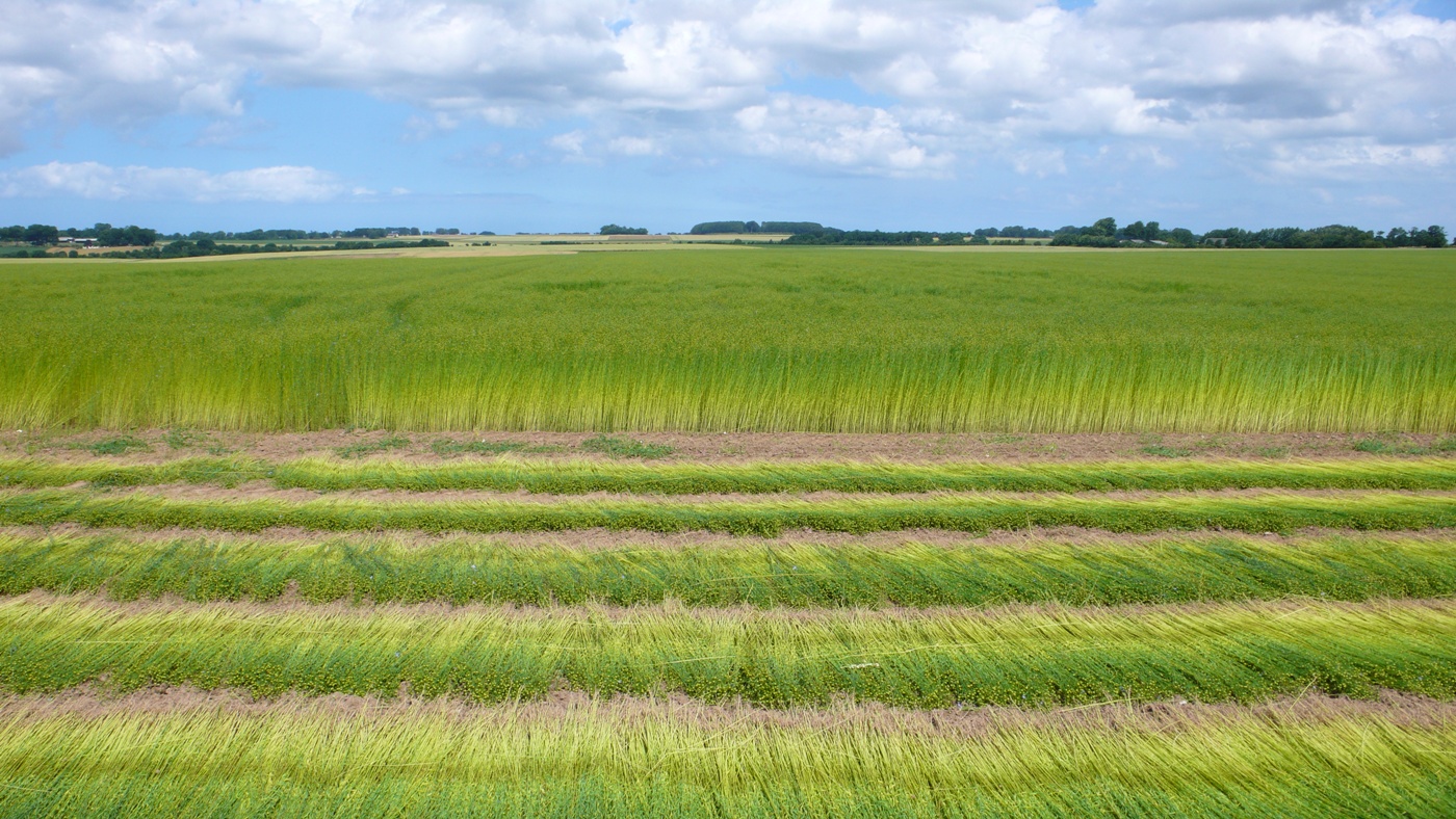 PAYSAGES DE CAMPAGNE NORMANDE