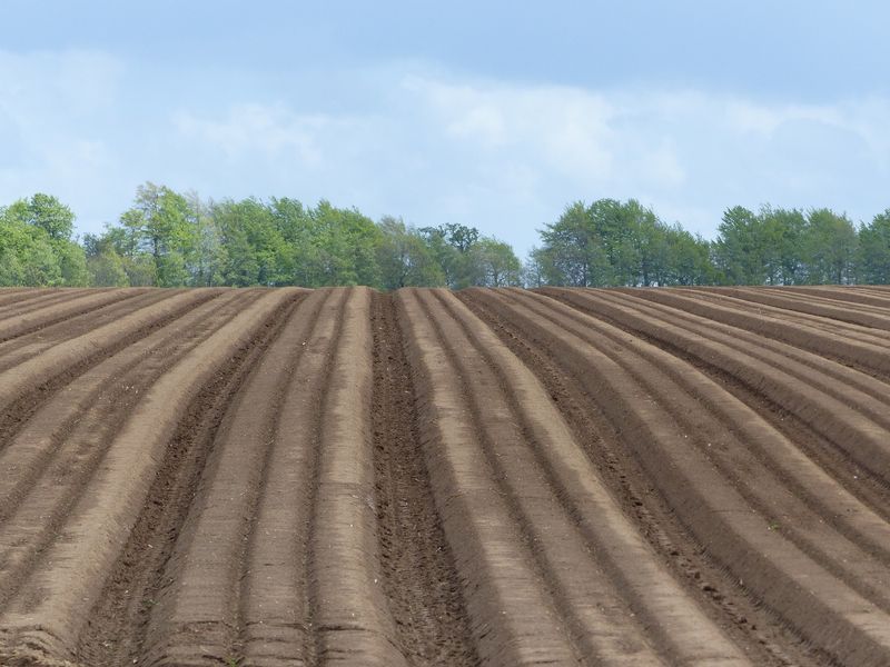 PAYSAGES DE CAMPAGNE NORMANDE