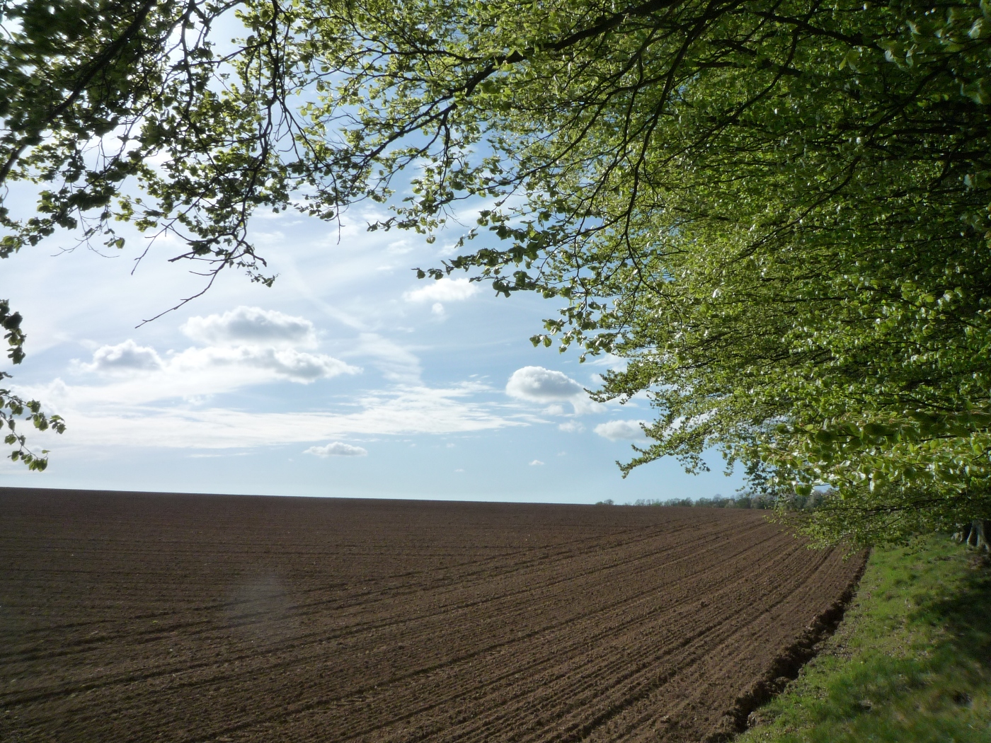 Labour au printemps en seine maritime