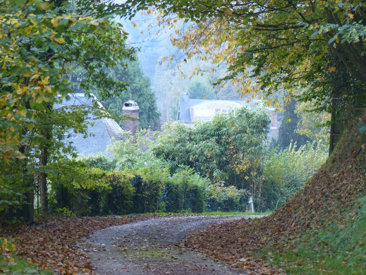 ALLEE DE L'IMPERATRICE AUX PETITES DALLES