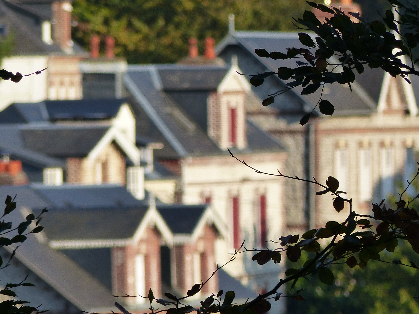 VILLAS BALNEAIRES AUX PETITES DALLES