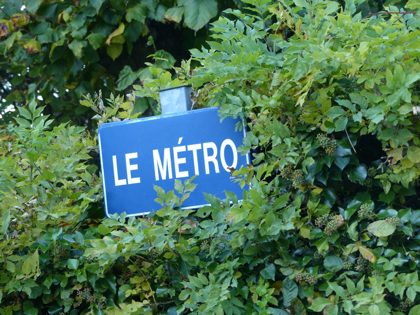 LE METRO DES PETITES DALLES